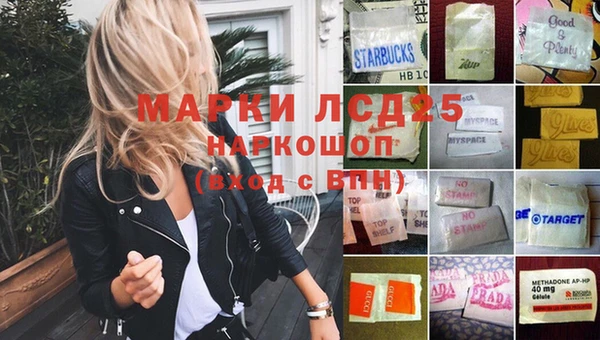 СК Вязьма