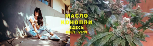 скорость Вяземский