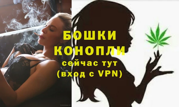 МДПВ Волосово