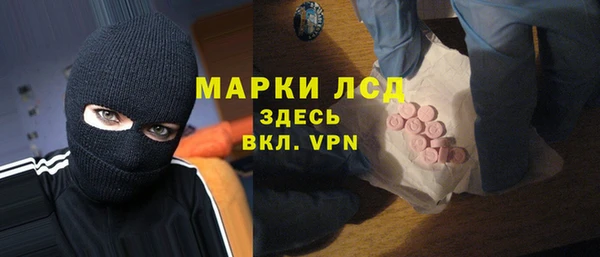 СК Вязьма