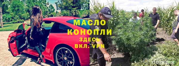 скорость Вяземский