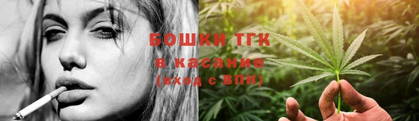 СК Вязьма