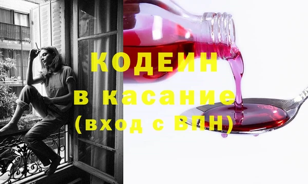 СК Вязьма