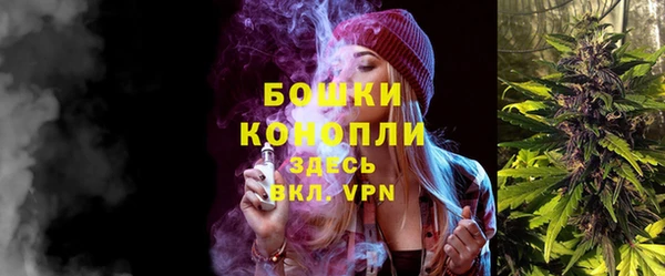 СК Вязьма