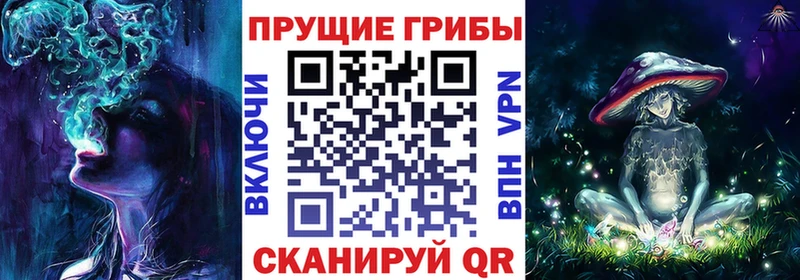 Псилоцибиновые грибы Psilocybine cubensis  Купить  Магадан 